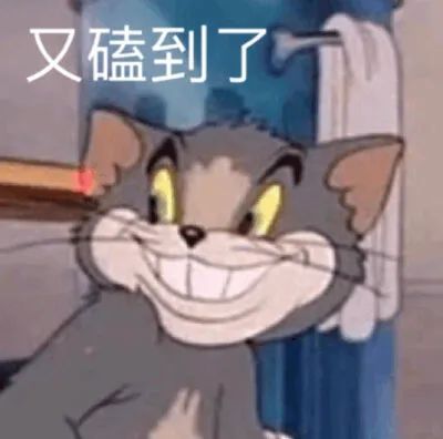 荣耀夫妇想要的星辰大海是喀纳斯这样的吗