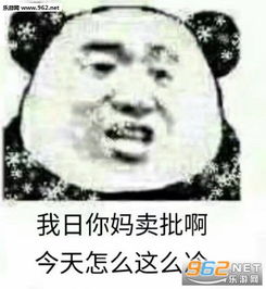 表情包怎样下载老子