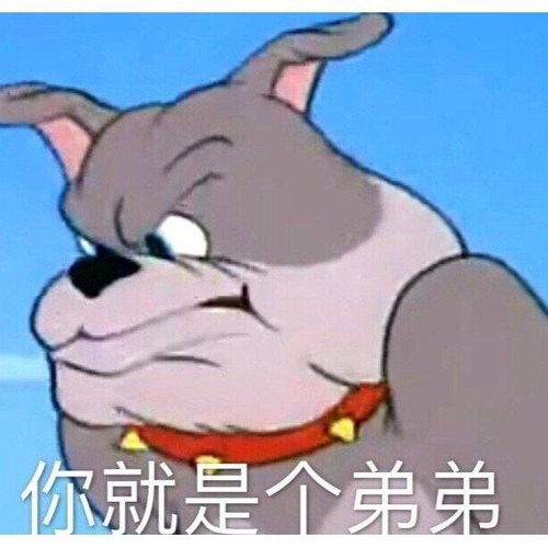 跪下唱征服的表情包汤姆