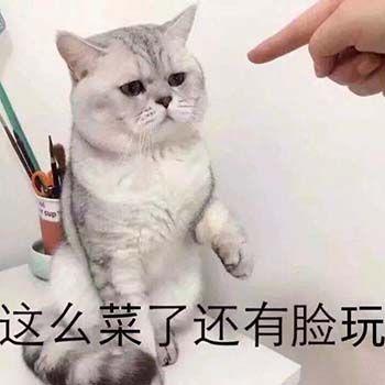 生活不易猫猫叹气可爱的猫咪表情包