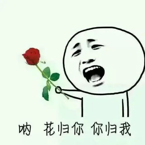 去哪儿玩正是秋游好时节花都开好了,只等花样的你