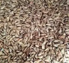 黄页88高清图片