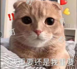 萌萌哒小仙女撒娇专用表情包,男票看后心都萌化了