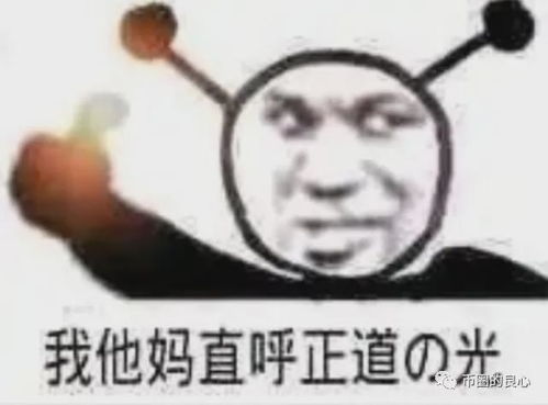 终于,我们也成了项目方
