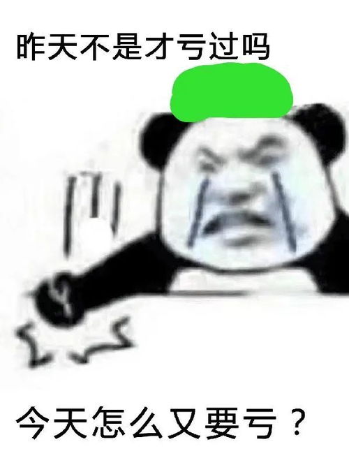 哈哈哈哈哈笑死,基金表情包,我又哭又笑