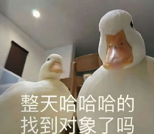 聊天表情日子很美,开心万岁