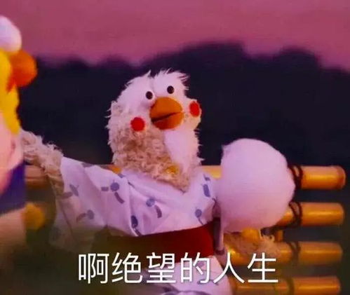 做我女朋友好吗表情包鸭鸭