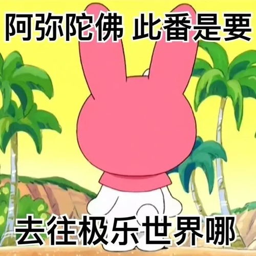 用上这只兔子的阴阳怪气表情包,你就是最强的茶艺大师