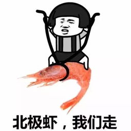 为什么说中国是基建狂魔看完这项逆天工程你就明白了