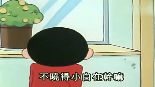 蜡笔小新小新找小白,一起玩了剪刀石头布,很天真