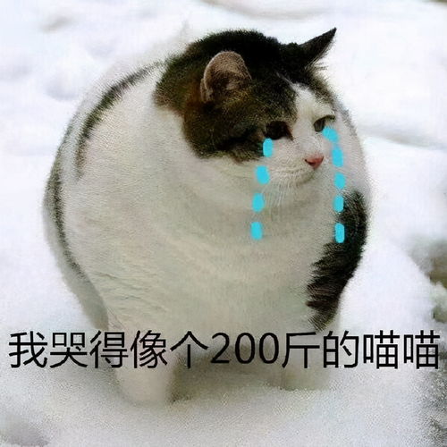 剑网三求情缘炸烟花,深夜念书哄睡,老板你这情缘甜到掉牙了