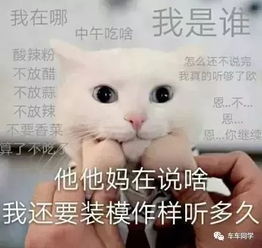 头像适合老年人的吞食