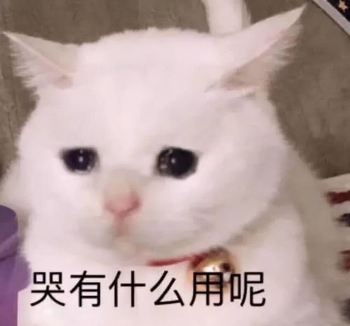 一张路透吸粉无数,但看到剧里的她,我傻了