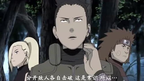 火影鬼鲛被踢的面部变形,这次换凯神气了,木叶双旋风