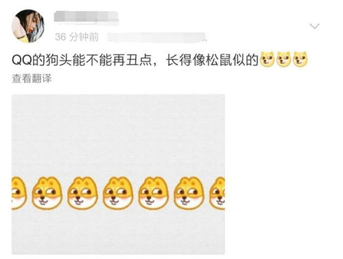 腾讯qq推出新的狗头表情包,网友像松鼠