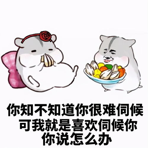 不要琢磨欺骗天蝎座,他对你的考验,绝对不按常理出牌