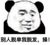 熊猫头表情包i各位老板,恭喜发财
