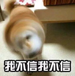 高温来袭35高温预警丰城即将进入烧烤模式,秒变大火炉