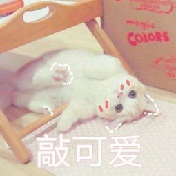 听闻阁下足智多谋,可否一叙