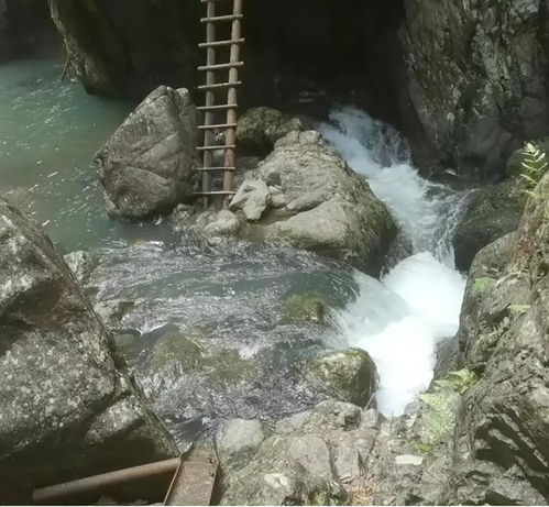 越闹越大两游客被冲走后续,现场细节被扒,网友拉绳子没用力