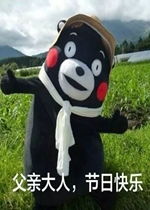 父亲大人节日快乐表情包好玩吗父亲大人节日快乐表情包怎么玩用户评论