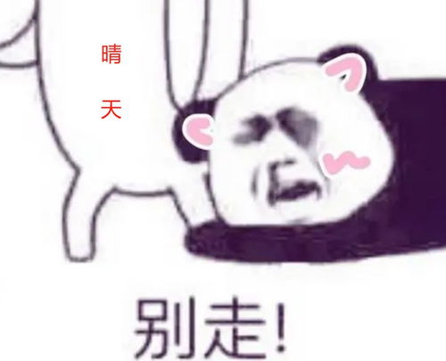 抱大腿图片表情包国美