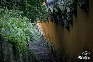 70后文艺大叔跟和尚做邻居,与西湖抢风景