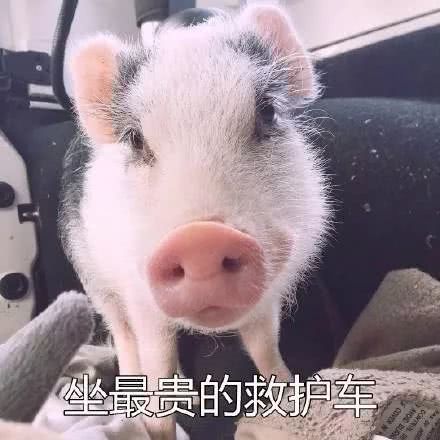 25岁实在太可怕了,还好你们才18