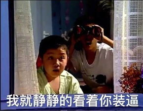 这是一条家有儿女表情包合集