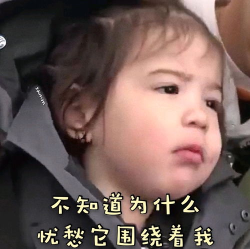 建厚猪宝迷人表情包第十二弹
