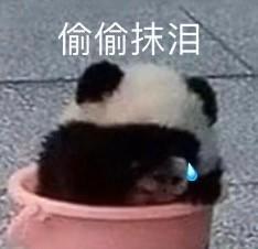 地方台春晚中央台春晚要上我就得去宇宙中心的