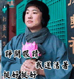 佛系青年春节自救表情包佛系春节表情包下载飞翔下载