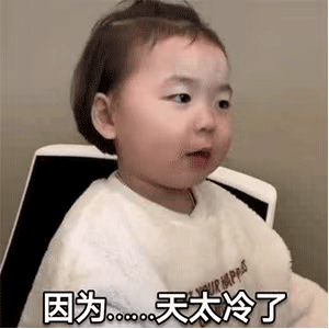 今日份表情包