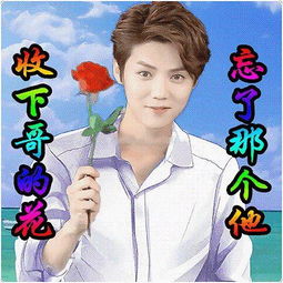 表情包追星,了解一下