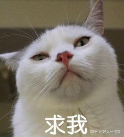 怎么把这张图片里的龙宝宝p成白色