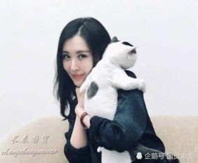 王石小30岁女友田朴珺近照曝光为了事业暂不考虑婚姻