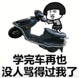 抖音表情最火表情包