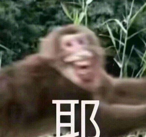 吃饱的表情包沙雕