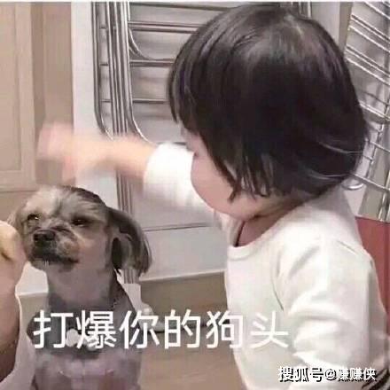 人人都爱表情包图片打爆你的狗头