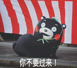 全国各省男人床上战斗力排名,速看