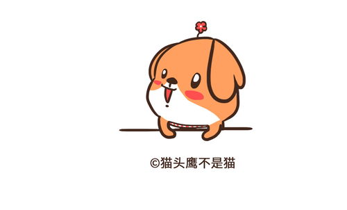 旺小汪微信表情包ip猫头鹰的海报h5手绘原创画板