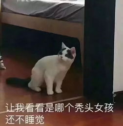 熄灯前后大对比,你属于哪一类