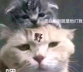 表情包老公刚刚就是他打我,打野爸爸好的
