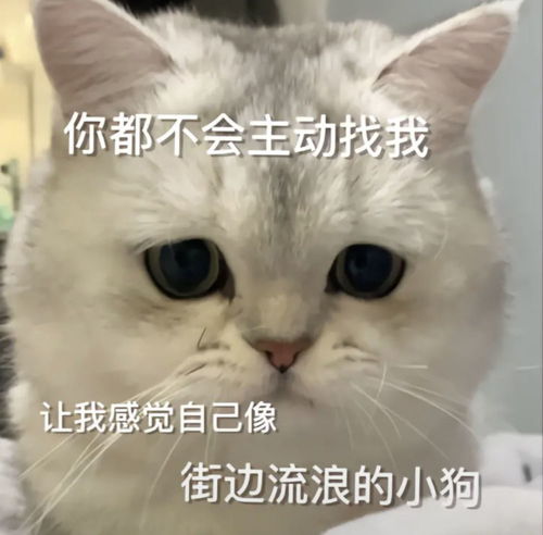 和对象聊天必备表情包,快来接收叭