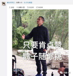 和杨紫斗表情包b站刷弹幕老干部原来这么会玩