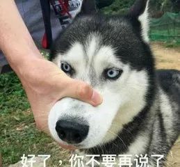 女朋友为什么会生气,还不是因为你做得不好