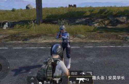 csgo冬瓜强表情包皮肤