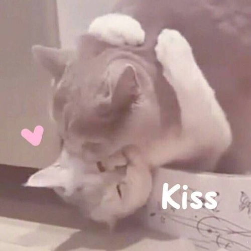 李斯特