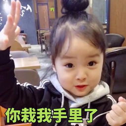 你被权律二萌到了吗