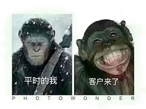 年前最后一批花岗岩锯片大货整装待发